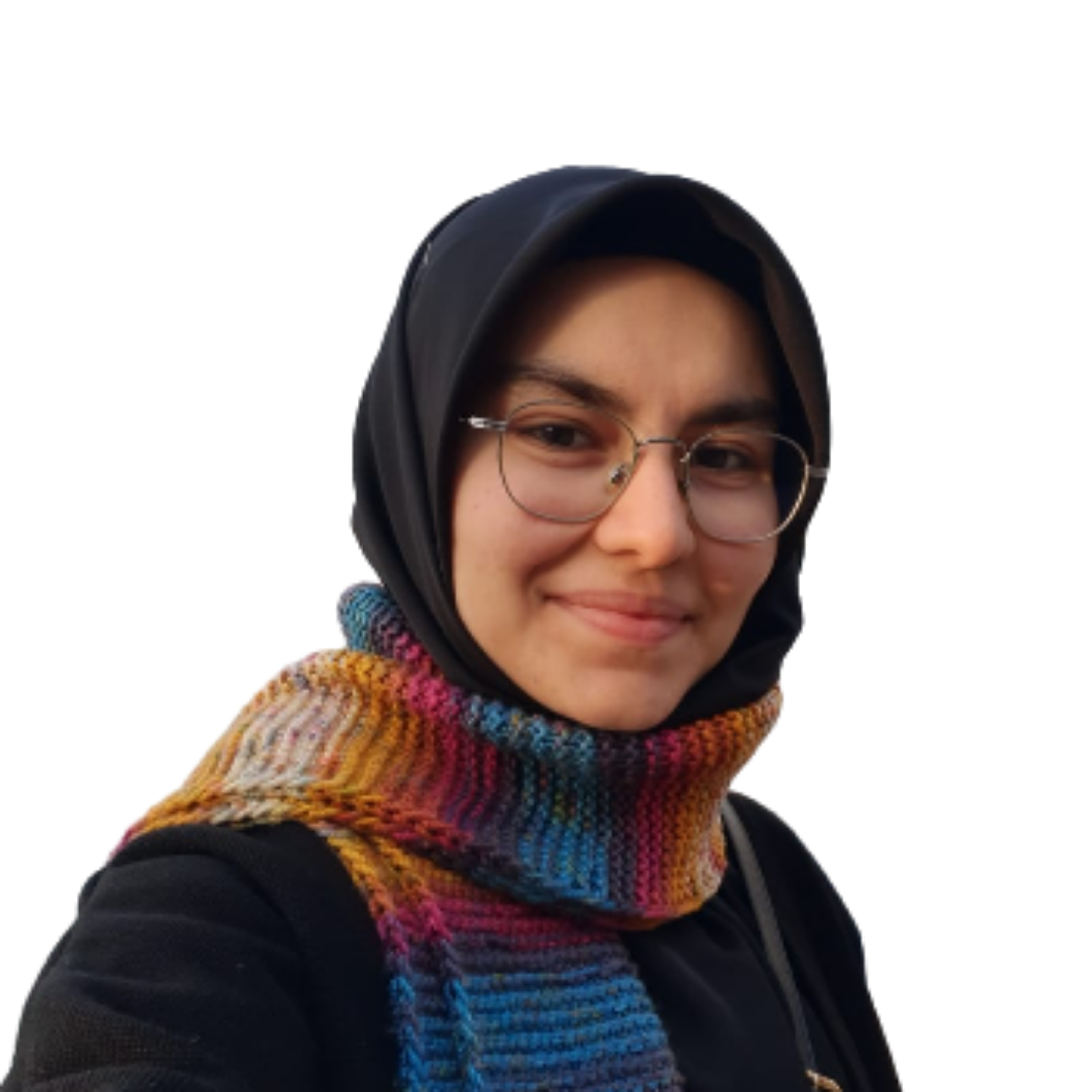 Zerin Erözdemir